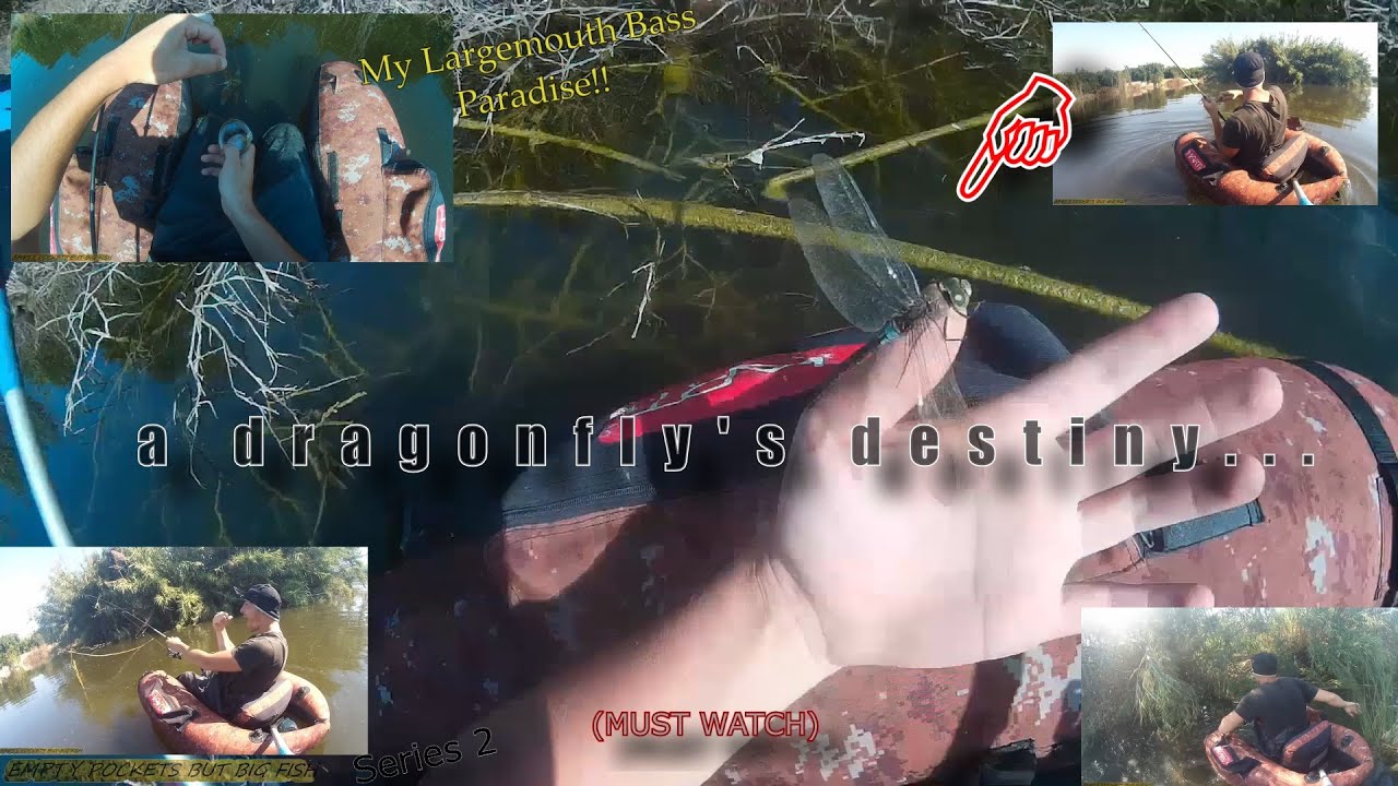 a Dragonfly's DESTINY... Day 8 (Part 2) of My Largemouth Bass Fishing Trip to Spain‼️(SERIES 2)