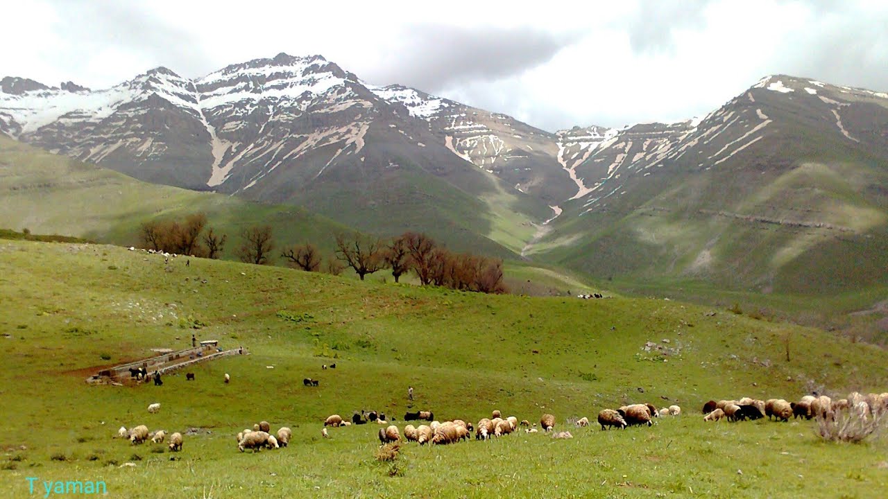 şırnak uludere zozana repın 25 05 2020