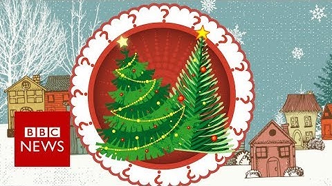 Fake or fir? Your Christmas tree