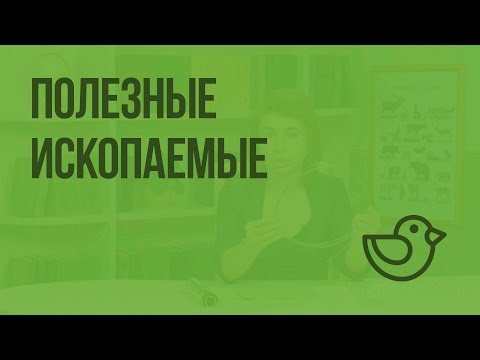 Полезные ископаемые. Видеоурок по окружающему миру 3 класс