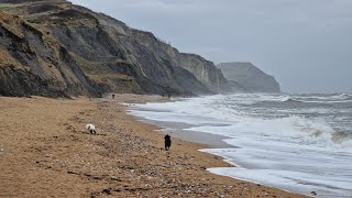 www.netherleigh.co.uk - The famous fossil beach of Charmouth is just 3 miles from our B&B.