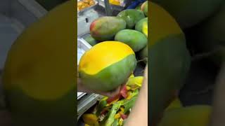 peeling the yellow mango skin precisely using a professional manual plastic peeler tool at market