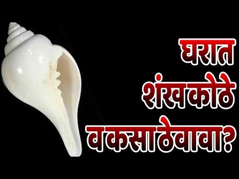 घरात शंख कोठे व कसा ठेवावा? या गोष्टी लक्षात ठेवाव्याच | marathi vastu shastra tips...