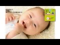 『世界一わかりやすいデジタル一眼レフカメラと写真の教科書 しあわせ子ども写真の撮り方編』DVDダイジェスト