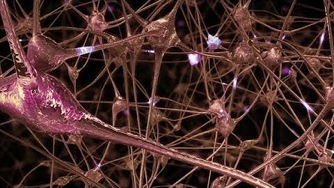 Network of Neurons and Synapses | Motion Graphics - Videohive template