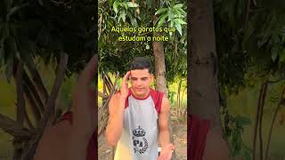 Elas são beeeem delicadas e princesas