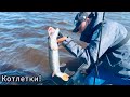 Щука на котлеты🔥На что ловить щуку?Секретная приманка!Клёвая рыбалка на реке Обь🔥