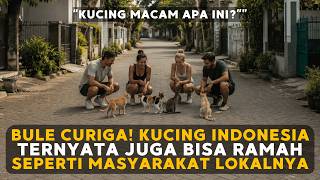 Foreigners Suspicious! Indonesian Cats Learned How to Be Friendly from Their Humans 😹🇮🇩