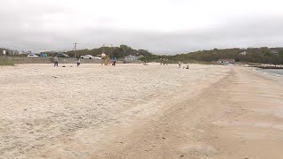 Cape Cod business owners look to salvage rest of season as beaches reopen