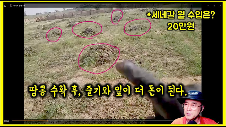 아프리카 세네갈. 평균 월급은 20만원(한국은 400만원), 땅콩 수확 후, 줄기와 잎이 돈이 더 된다.
