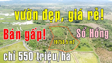 BÁN GẤP chỉ 550tr/ha có ngay đất vườn sẵn nguồn thu view đẹp Sổ Hồng 19753.5m2 giá rẻ ở Đăk Nông