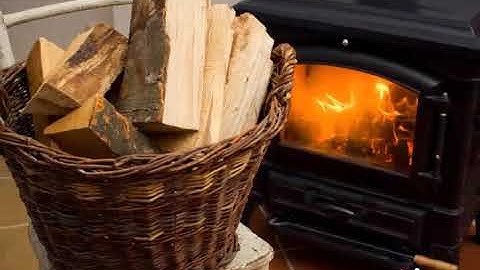 NCERT CBSE Class 8 Science Chapter 7 Conservation of Plants and Animals Part 1