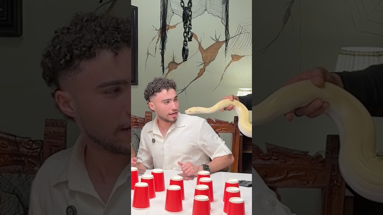 القائد و الثعبان