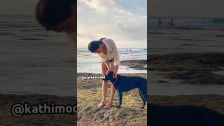 Beach Dogs 🐕💗😍 #Dog #Beachlife #Newmusic #Edit
