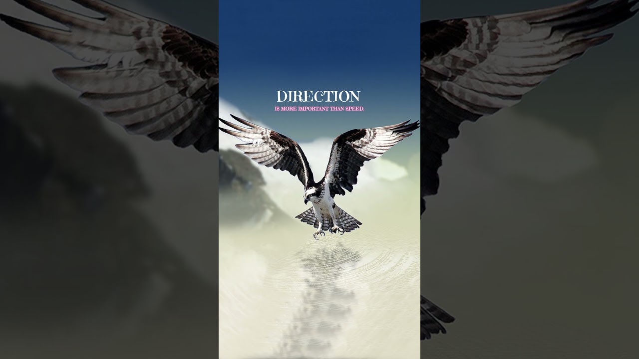 DIRECTION IS MORE IMPORTANT THAN SPEED ❤️ 