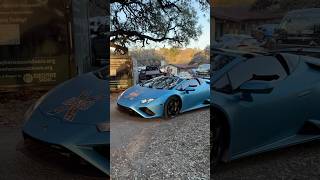 Which Lamborghini Huracan Would You Pick?