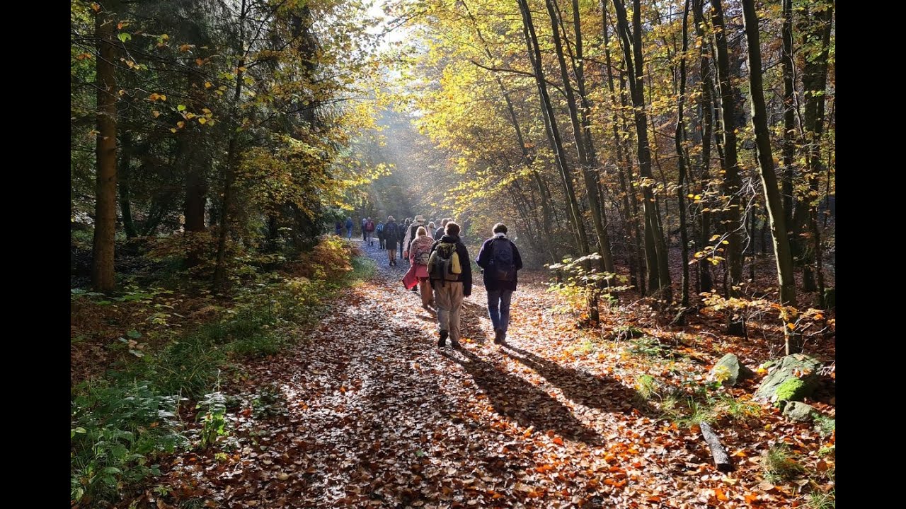 Wandelreis België: Natuurpark Hoge Venen