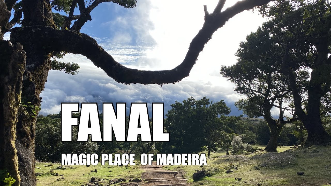 FANAL - Magic Place of Madeira - Magické místo Madeiry