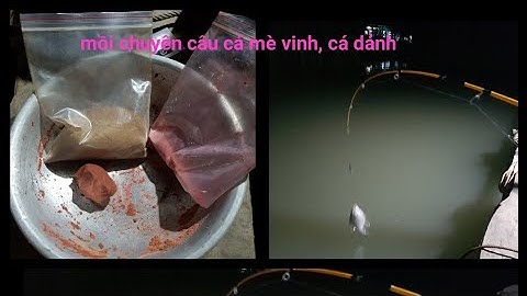 Bài mồi chuyên câu cá mè vinh, cá dảnh đặc biệt hiệu quả, 100% dín
