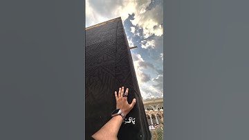 سورة الاحقاف ياسر الدوسري #yasseraldossary #اكسبلور #ياسر_الدوسري #المصحف