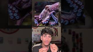 Octopus ka DNA itna different kyun hai? 😨  #octopus  #alien #sciencefacts  #shorts  #quickpolindia
