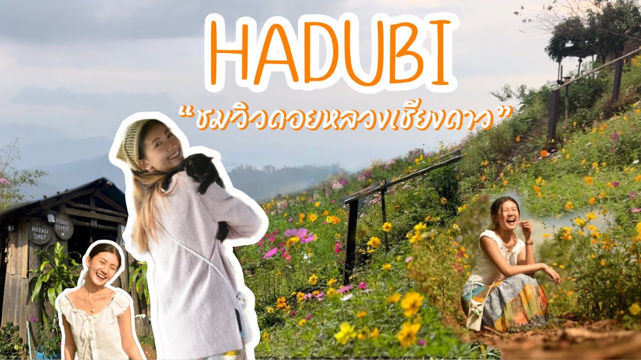 เชียงใหม่ ฮาดู่บิ แคมป์ปิ้ง เวียงแหง จ.เชียงใหม่ | นั่งรถไฟไปเชียงใหม่