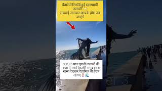 समुद्र किनारे दिखी असली जलपरी? 🌊ये वीडियो देखकर लोग डर गए 😨 #jalpari #facts #short