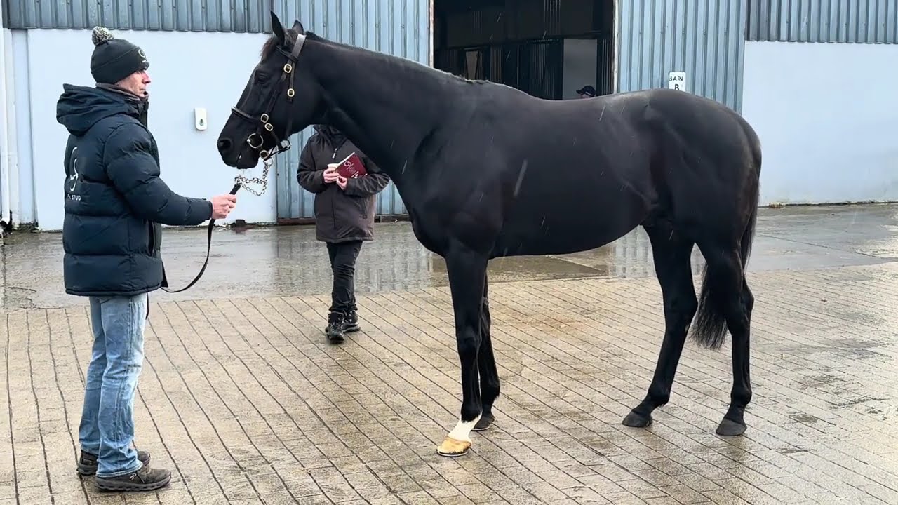 Topgear at Capital Stud 