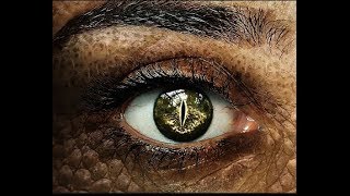 The Theory of Devolution: A Genetic Engineering Odyssey by Claire Manning