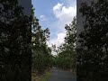 #memories #travel #youtube #youtubeshorts #peace #nature #reels #reelitfeelit #like #subscribe