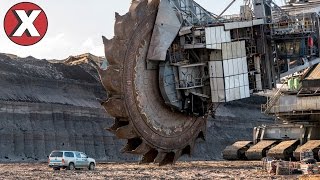 TOP 07 CRIAÇÕES MAIS INCRÍVEIS DO MUNDO l Almanaque x