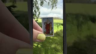 Tiny Tarot Today: A Daily Timeless Adventure