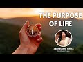 Purpose of life as per 7 chakras  sakhashree neeta  what is the purpose of life