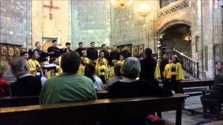 PSM Unila - O Magnum Mysterium (Arr. Tomas Luis de Victoria), Spain 2014