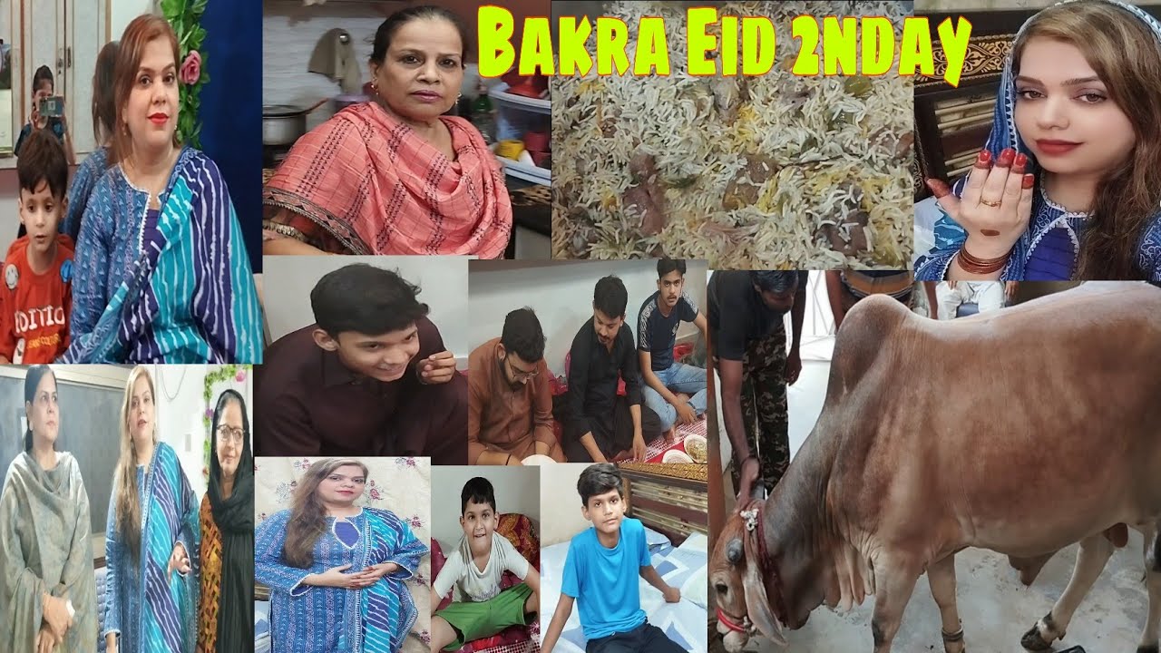 Bakra eid 2024 qurbani | Bakra Eid qubani vlog | Bakra eid | by Nazia ...