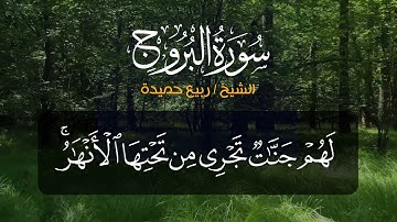 سورة البروج - الشيخ ربيع جميدة