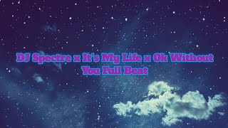 Download Lagu DJ Spectre x It's My Life x Ok Without You - Full Beat MP3