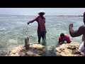Занзибар, как местные ловят рыбу на рифах во время отлива