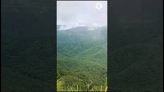 निसर्गरम्य कोकण गाव कोळंब koltrending viralvideo youtube youtubeshorts entertainment