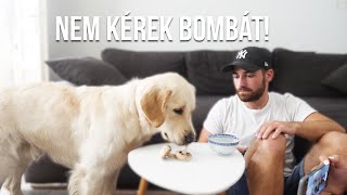 TOBY ÉTELEKET KÓSTOL #2! (gomba, sajt, kínai leves) ｜Toby VLOG #35