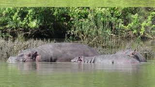 Rondreis Gambia Senegal
