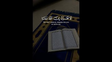 القرآن الکریم..سورة التوبة..بصوت القارئ عبدالرحمن مسعد #القرآن_الكريم #عبدالرحمن_مسعد 💛🥀