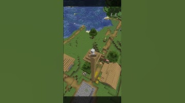 POV You are looking for the last pillager 💀