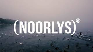 Noorlys Shisha Clothing Genussscheine