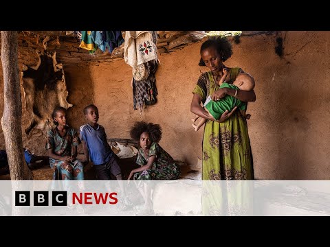 Ethiopia Satellite Images And Doctor Testimony Reveal Hunger Crisis BBC News