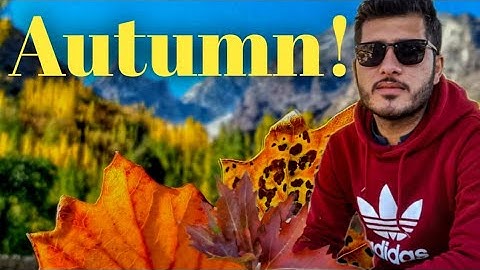 Autumn! - One way (Official Video)