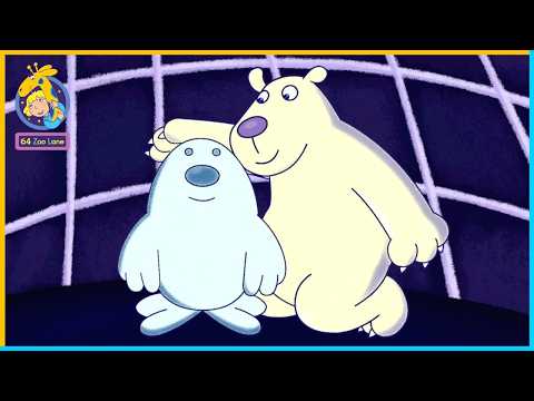 The Story of Snowbert's New Friend | 64 Zoo Lane | 20' Compilation