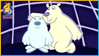 The Story of Snowbert s New Friend 64 Zoo Lane 20 Compilation