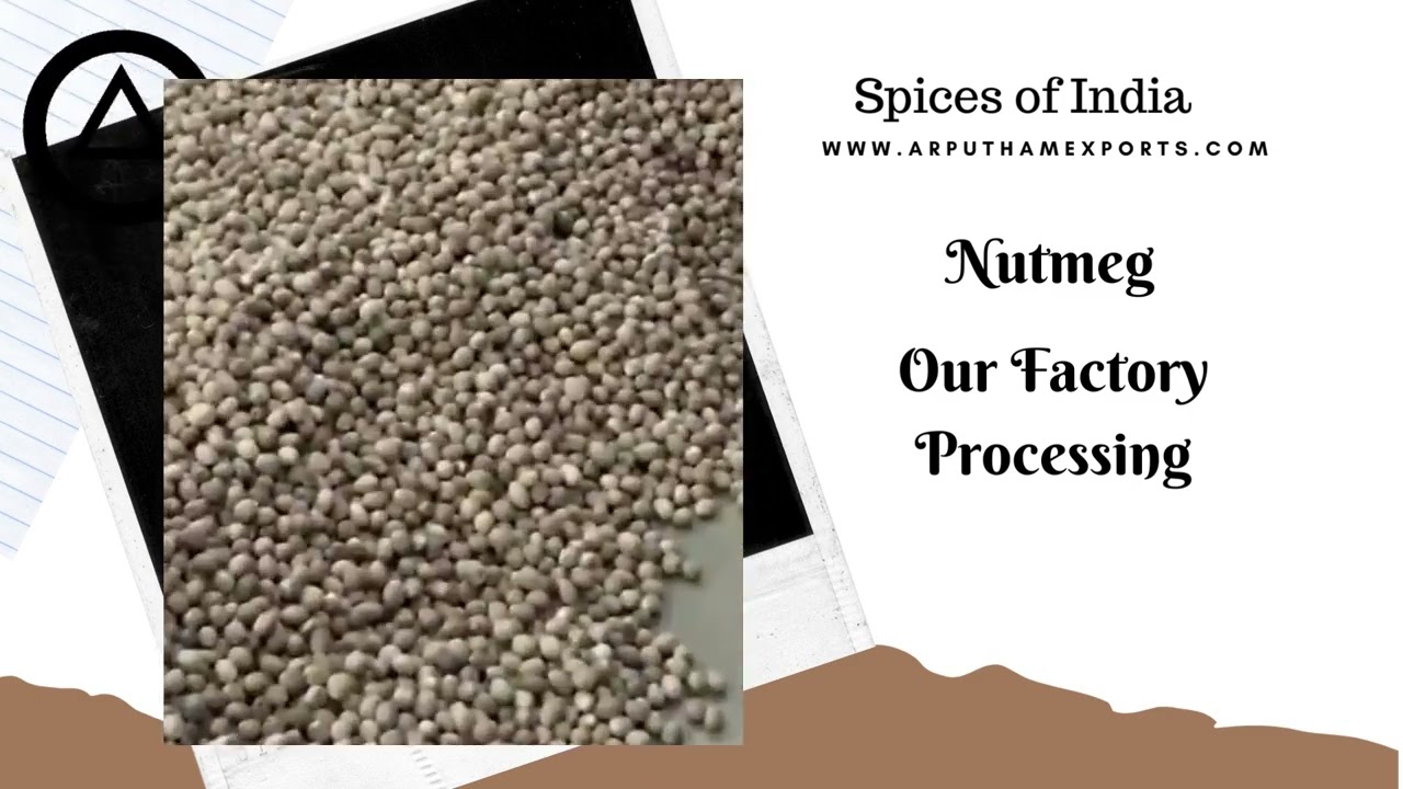 Manufacturer, Exporter, and Supplier of Nutmeg India | Myristica Exporter with shell & without shell