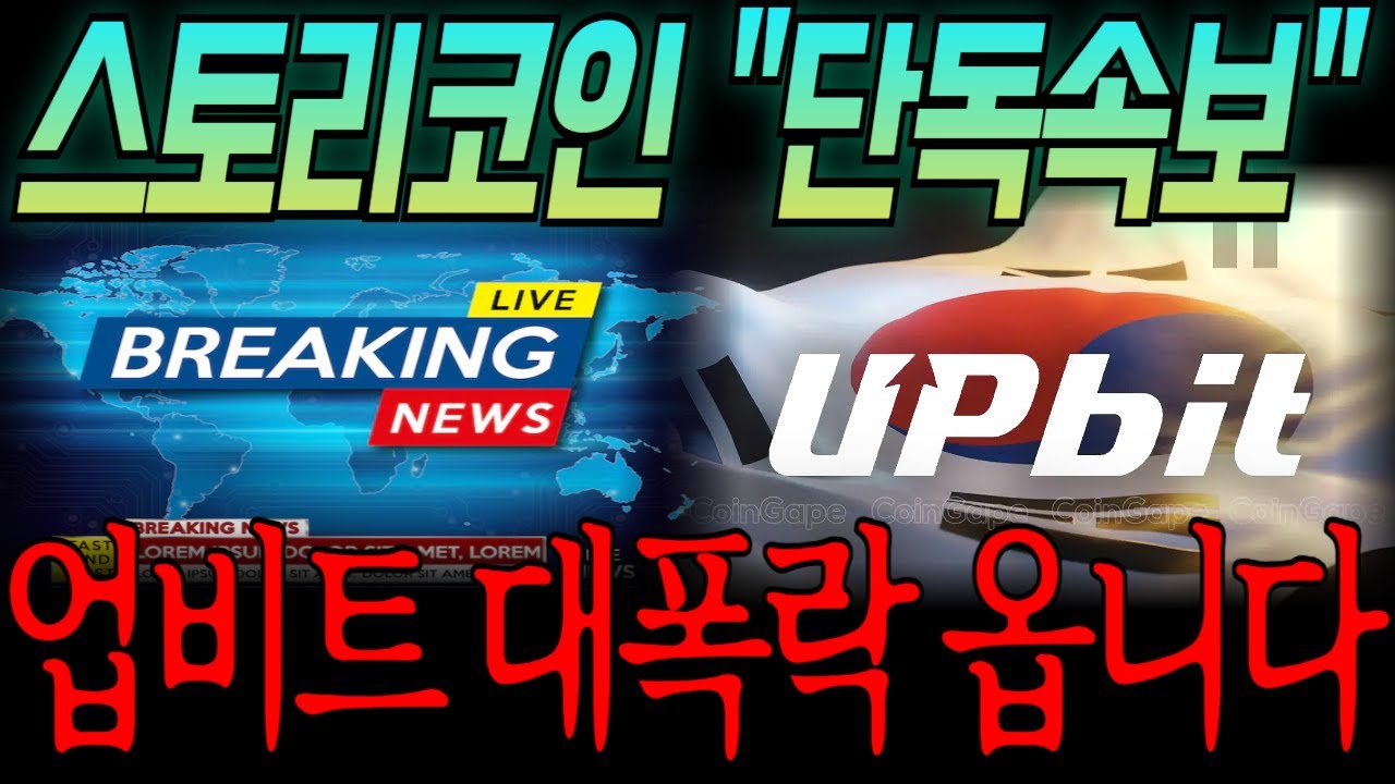 [스토리코인] 🚨업비트 대폭락🚨 저희 모두 속았습니다!!